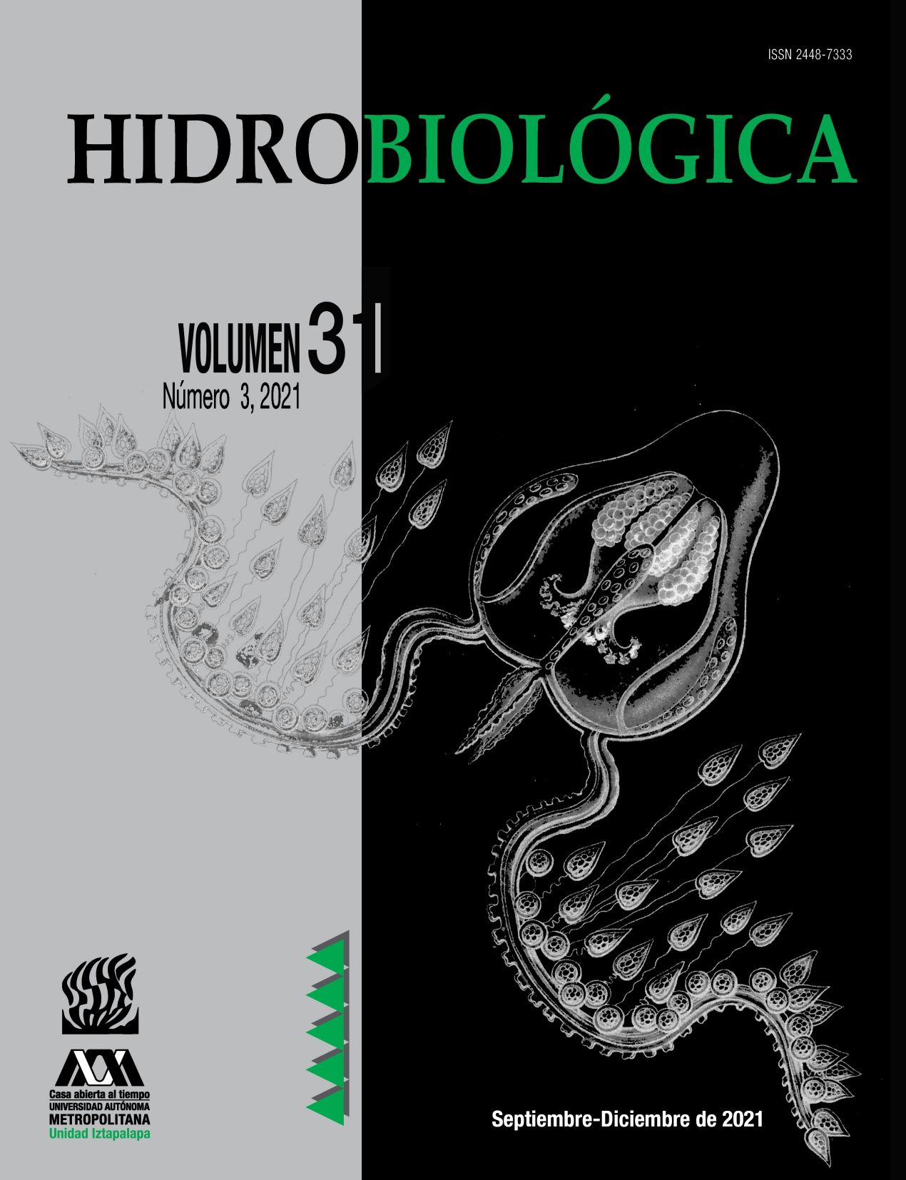 PDF) Catálogo de las algas marinas bentónicas del Pacífico de México. I.  Chlorophycota